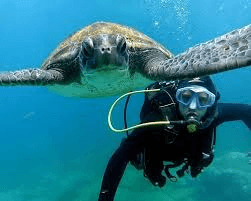 Discover Scuba Diving (Try Dive) – 3
