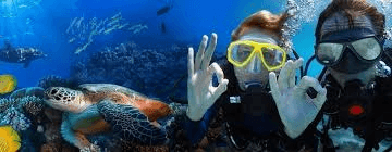 Discover Scuba Diving (Try Dive)