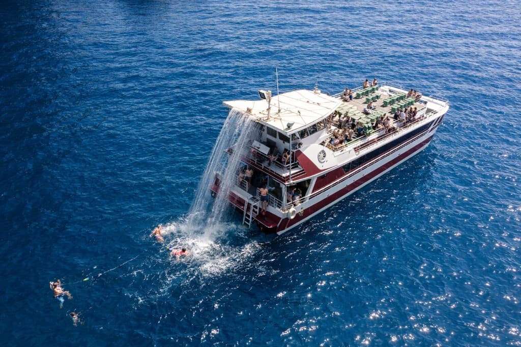 Ocean Vision – Dolphin & Whale Safari